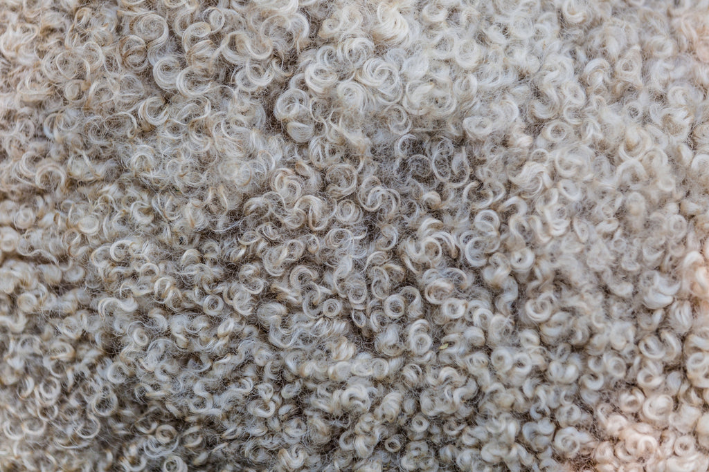 What is mulesing free merino wool?